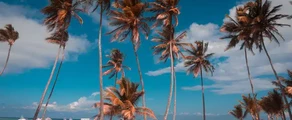 Punta Cana: pronájem soukromého letadla