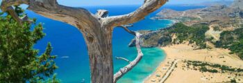 Panoramic,View,Of,A,City,,Cuers,,Var