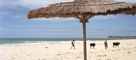 Manakara Sud : pronájem soukromého letadla 