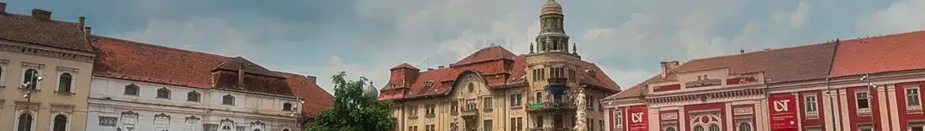 Satu Mare: pronájem soukromého letadla