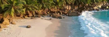 Guinée Équatoriale : Location de jet privé