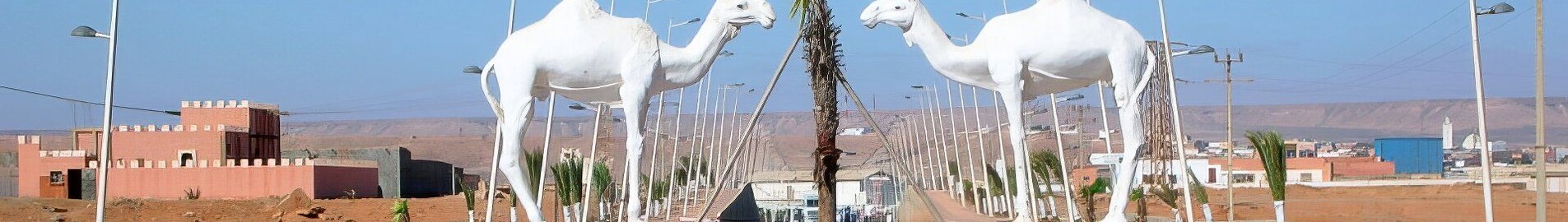 Tan-Tan : pronájem soukromého letadla 