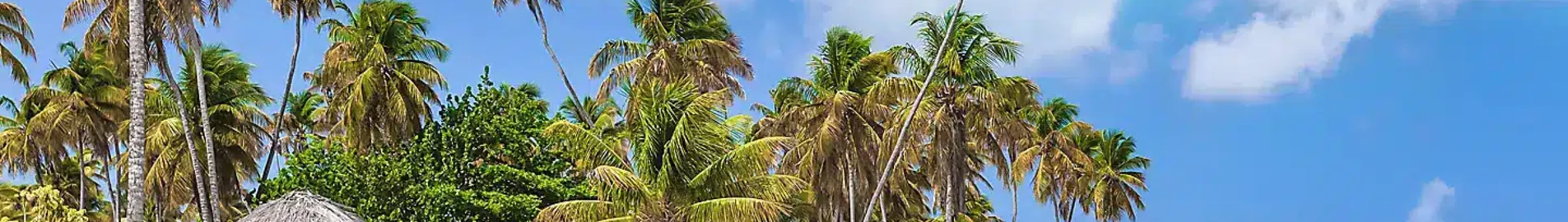 Tobago Scarborough Crown Point : pronájem soukromého letadla 