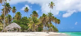 Trinidad Piarco : pronájem soukromého letadla