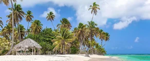 Tobago Scarborough Crown Point : pronájem soukromého letadla 