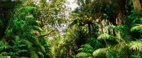 Trinidad a Tobago : Pronájem soukromého letadla