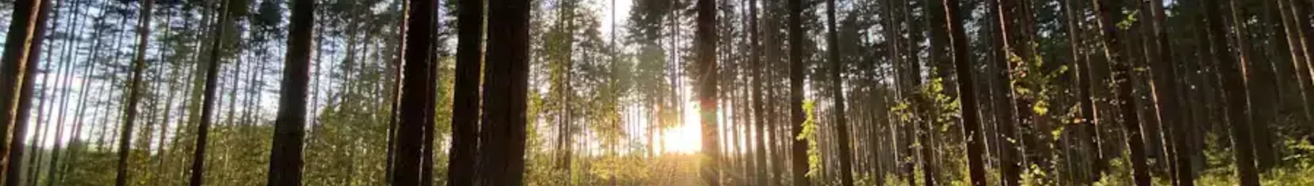 Tver Migalovo: pronájem soukromého letadla