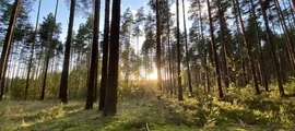 Nižnij Novg Strigino : pronájem soukromého letadla
