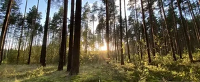 Tver Migalovo: pronájem soukromého letadla
