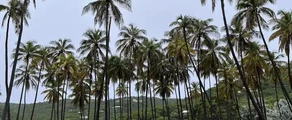 Union Island : pronájem soukromého letadla