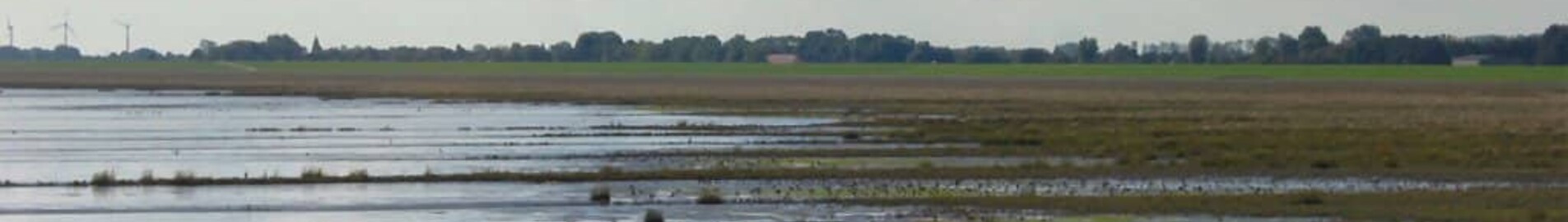 Wilhelmshaven Mariensiel : pronájem soukromého letadla 