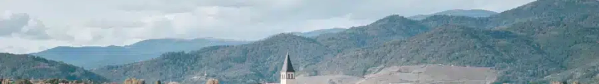 Řezání