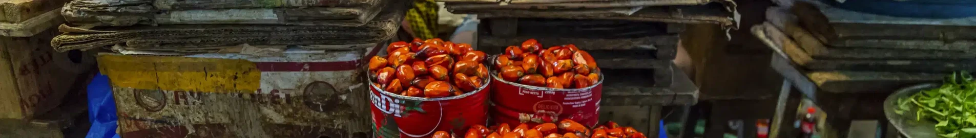 Yamoussoukro : pronájem soukromého letadla