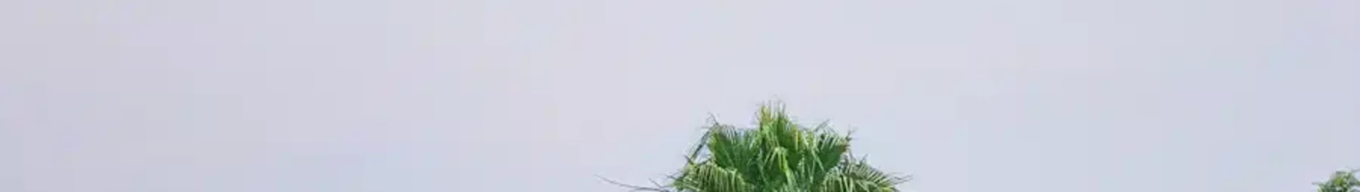 Bunia : pronájem soukromého letadla