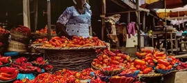 Lagos Murtala Muhammed : pronájem soukromého letadla