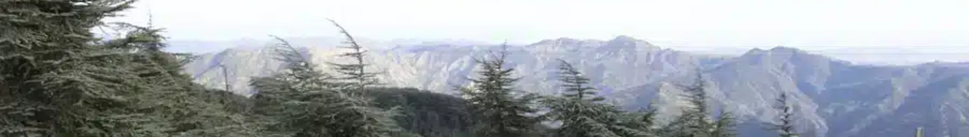 Blida: pronájem soukromého letadla