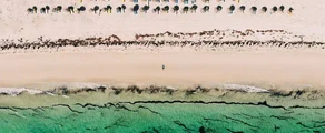 Djerba Zarzis : pronájem soukromého letadla