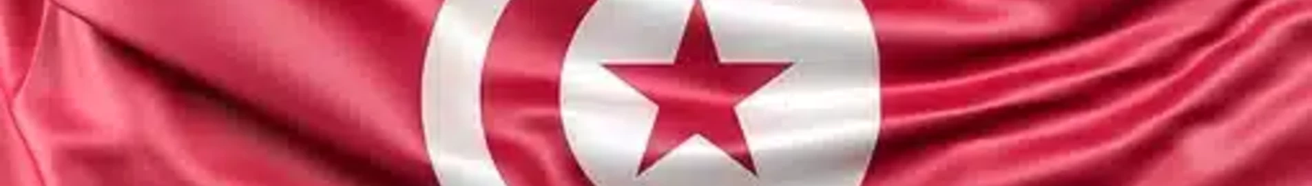 Repatriace do Tuniska: postupy, ceny a řešení na míru