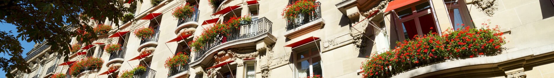 Luxusní hotel v Paříži: pobyt snů v hotelu Plaza Athénée
