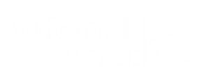 H 155pronájem vrtulníku