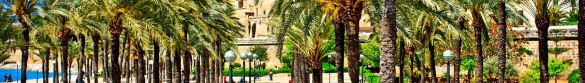 Neapol - Palma de Mallorca : pronájem soukromého letadla
