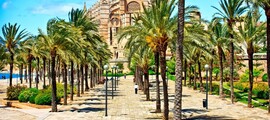Amsterdam - Olbia : pronájem soukromého letadla
