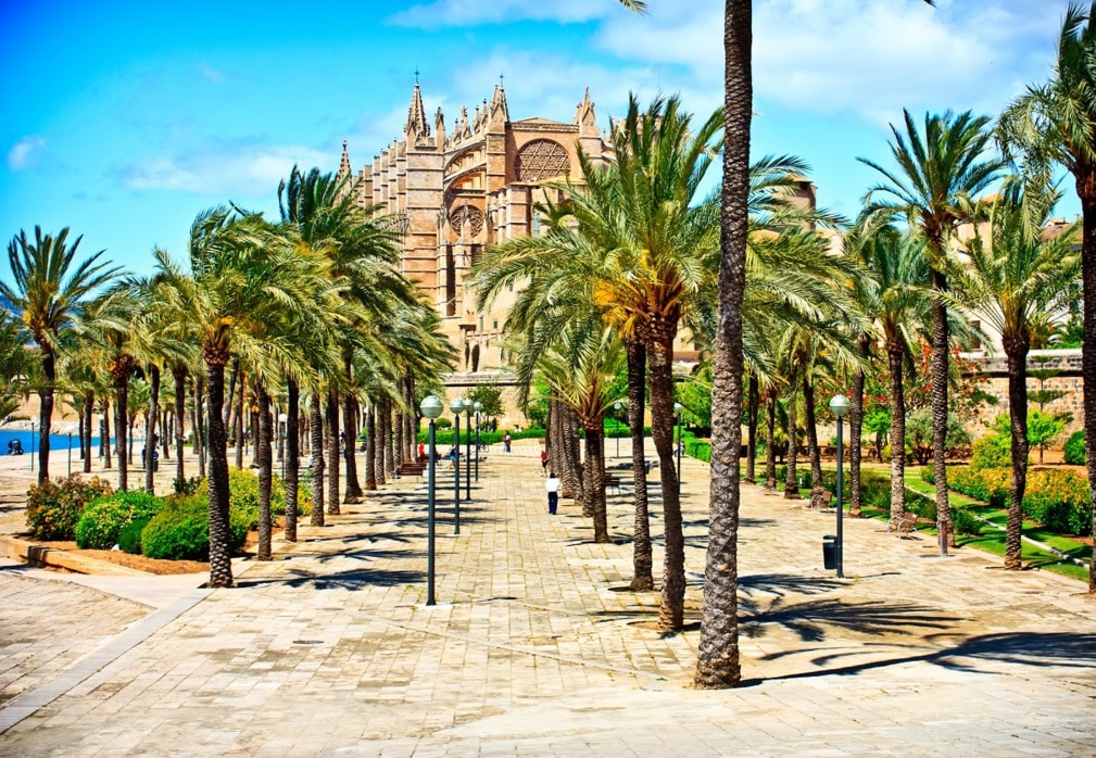amsterdam palma location de jet privé