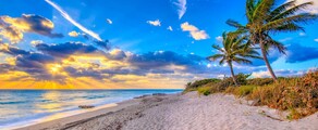 Ženeva - Palm Beach : pronájem soukromého letadla