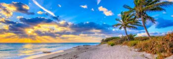 Miamipalmbeach3