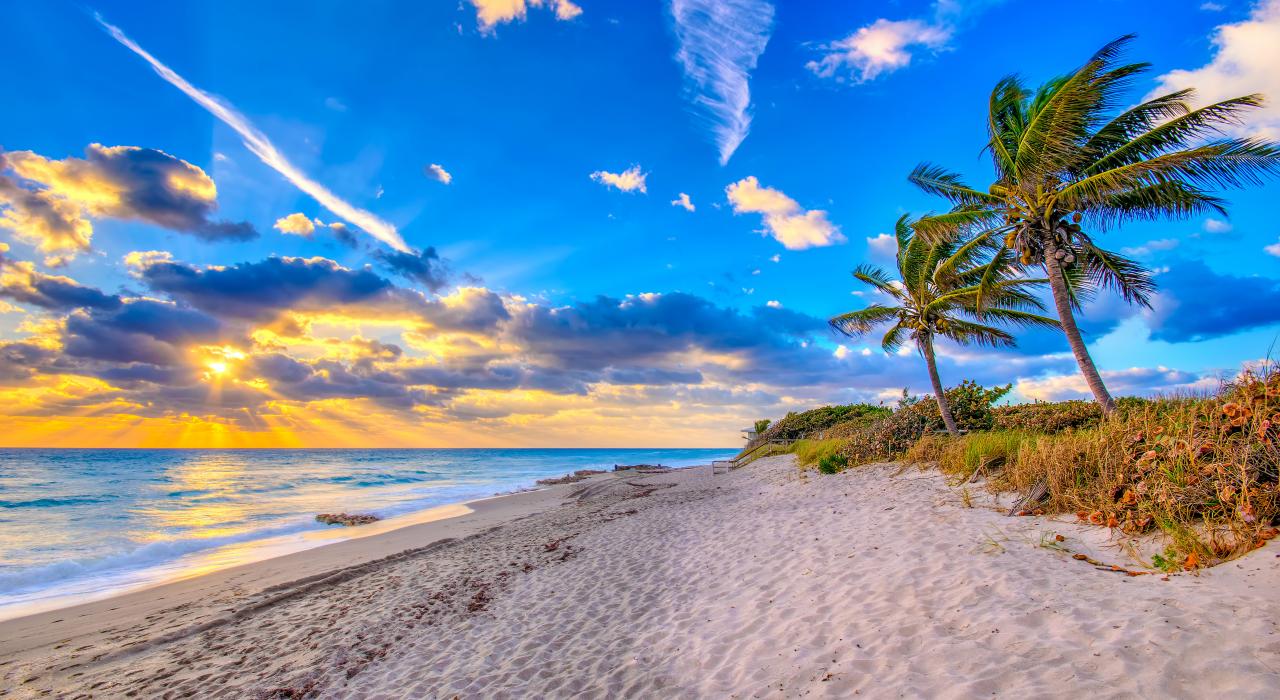 Miamipalmbeach3