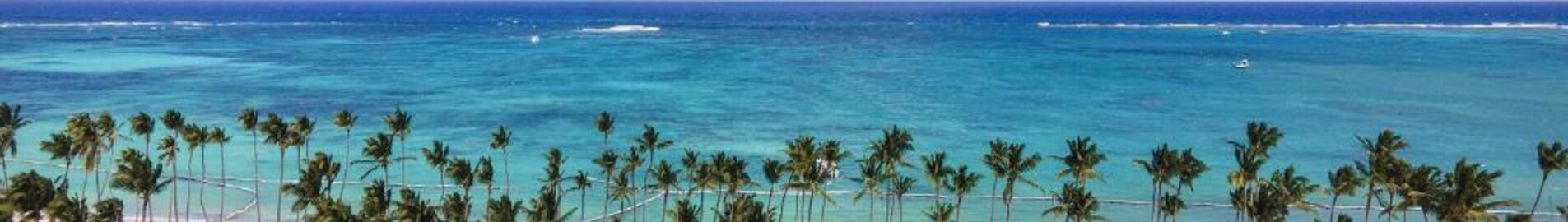 Palm Beach : pronájem soukromého letadla