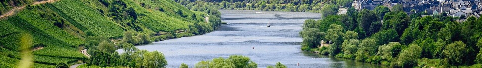 Evropské vinice k návštěvě soukromým letadlem