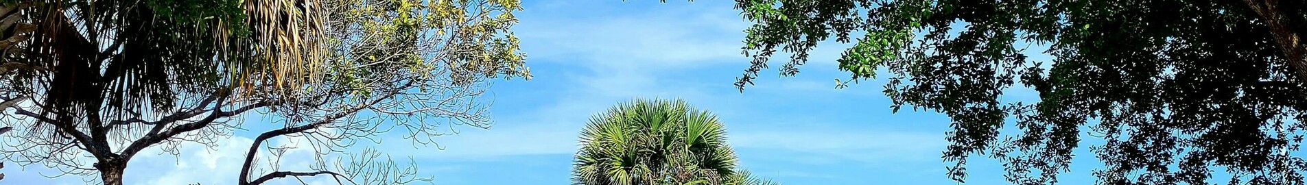Los Angeles - Tampa : pronájem soukromého letadla