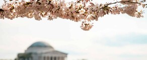Las Vegas - Washington DC : pronájem soukromého letadla