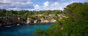 Frankfurt - Palma : pronájem soukromého letadla