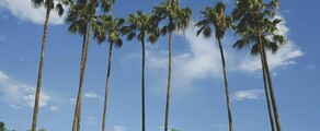 New York - Tampa : pronájem soukromého letadla