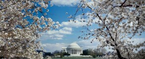 Los Angeles - Washington DC : pronájem soukromého letadla